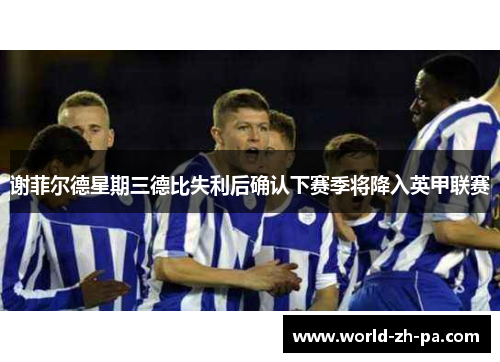 谢菲尔德星期三德比失利后确认下赛季将降入英甲联赛