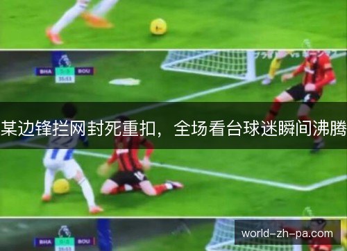 某边锋拦网封死重扣,全场看台球迷瞬间沸腾 某边锋拦网封死重扣,全场看台球迷瞬间沸腾